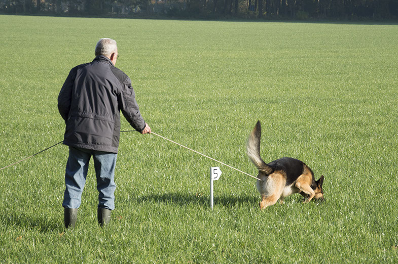 Dusty speuren IPO3 Vidas99